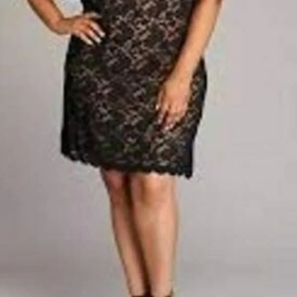 #10❤️ (78) NEW CONNECTED ISABELLE SCALLOPED LACE DRESS - Picture 1 of 6